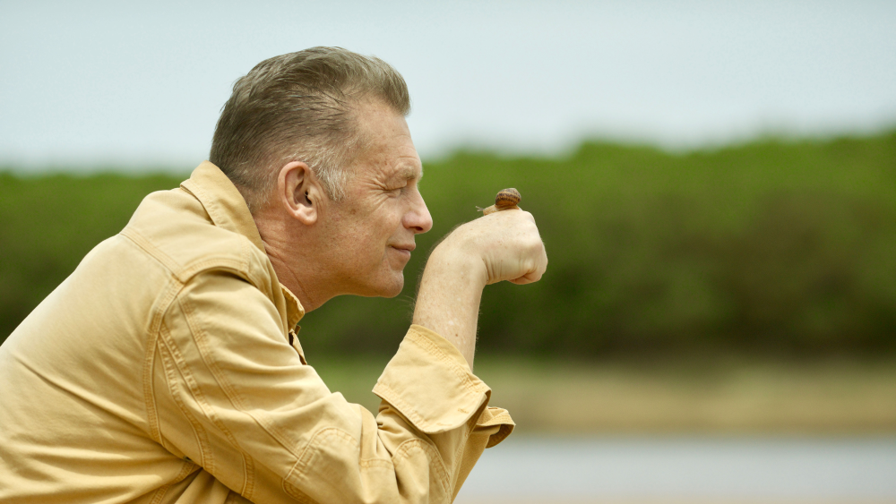 Chris Packham gazes adoringly at a snail in South Africa Chris Packham gazes adoringly at a snail in South Africa